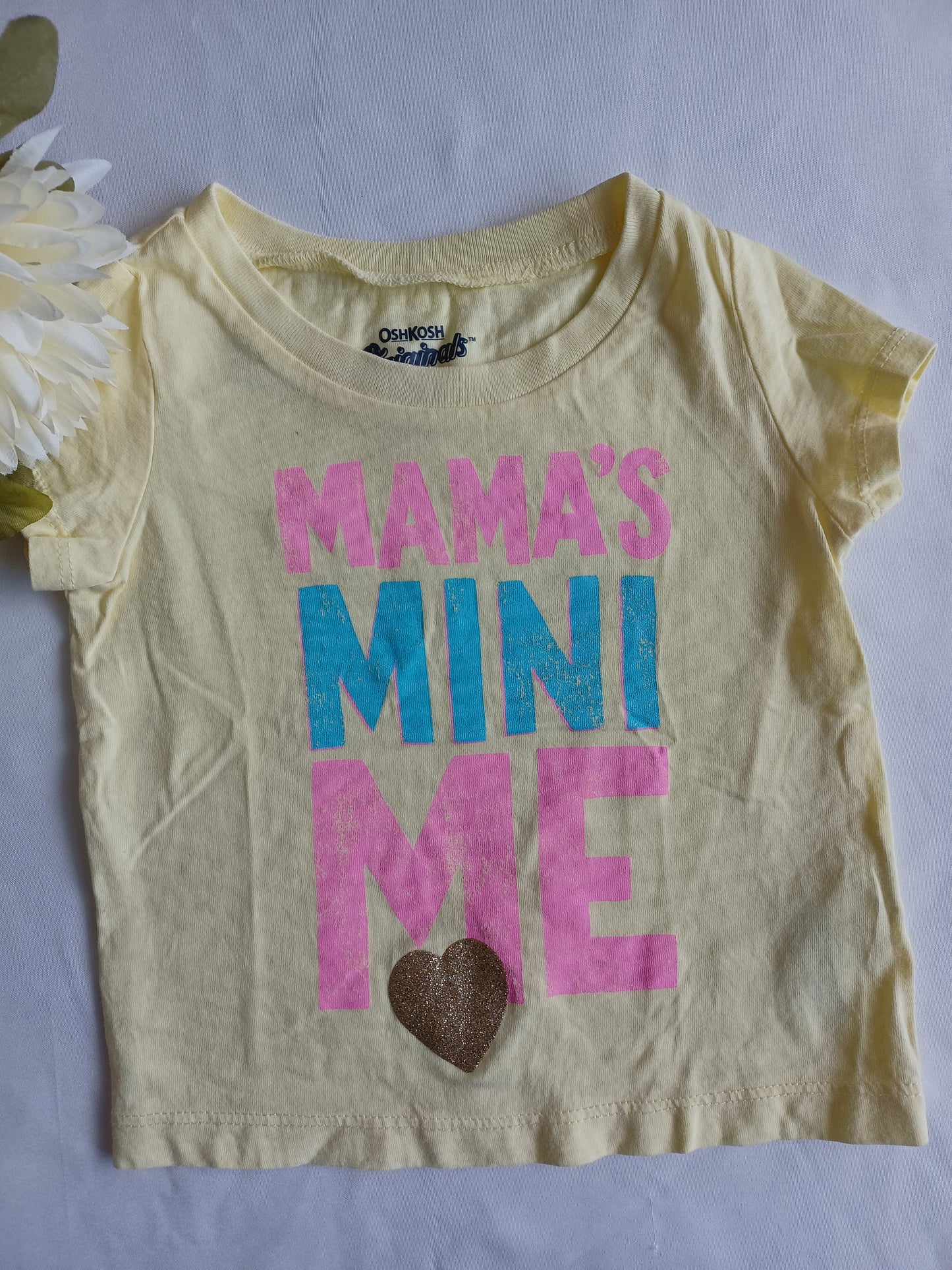 Tee-Shirt OshKosh 9 mois