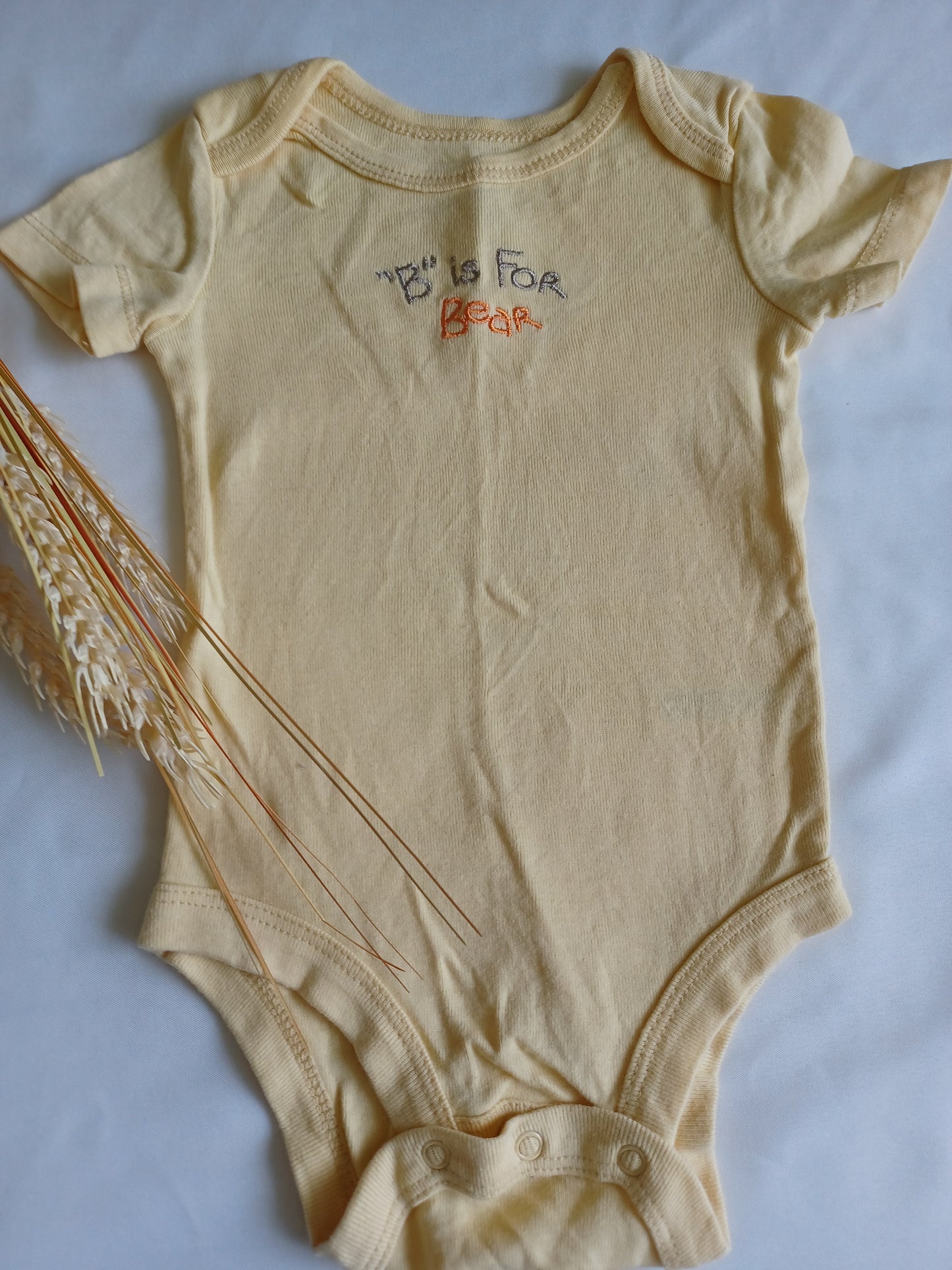 Cache-Couche BabiesRus 6 mois